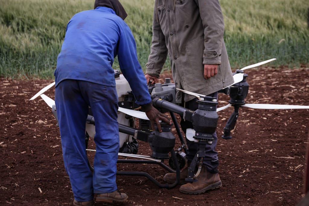 Two farmers working with a drone for crop surveillance in a field, showcasing modern agricultural technology.